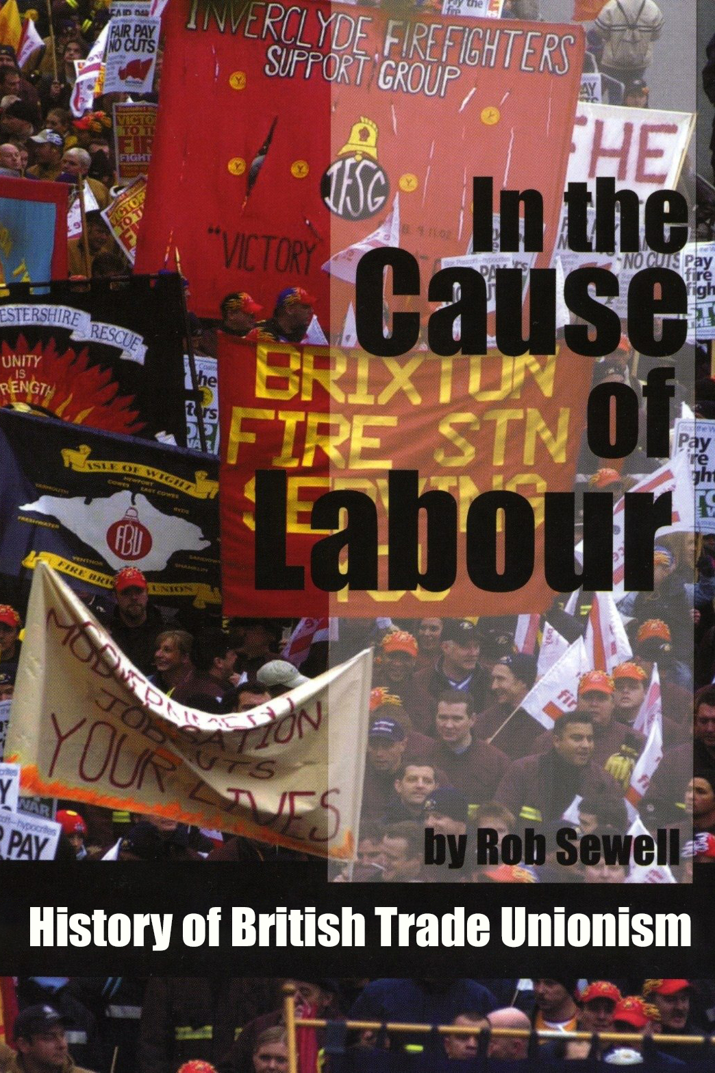 In the Cause of Labour